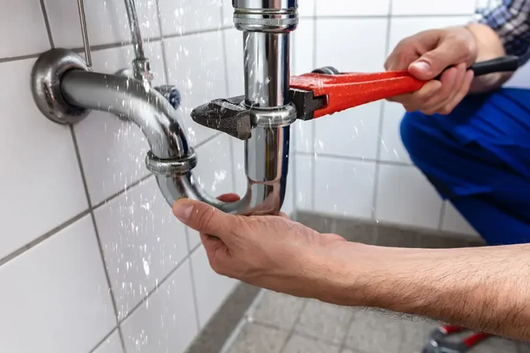 Skilled Plumbing Services in Anthem AZ