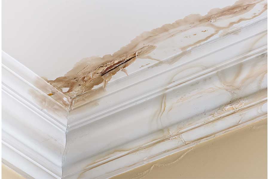 Signs Your Plumbing Needs Attention